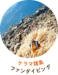 ケラマ諸島ファンダイビング